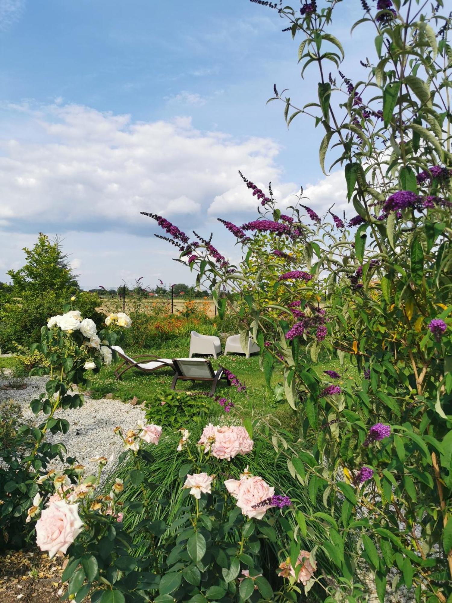 Rezydencja Pod Pieprzowkami Zalesie Gorzyckie Exteriér fotografie