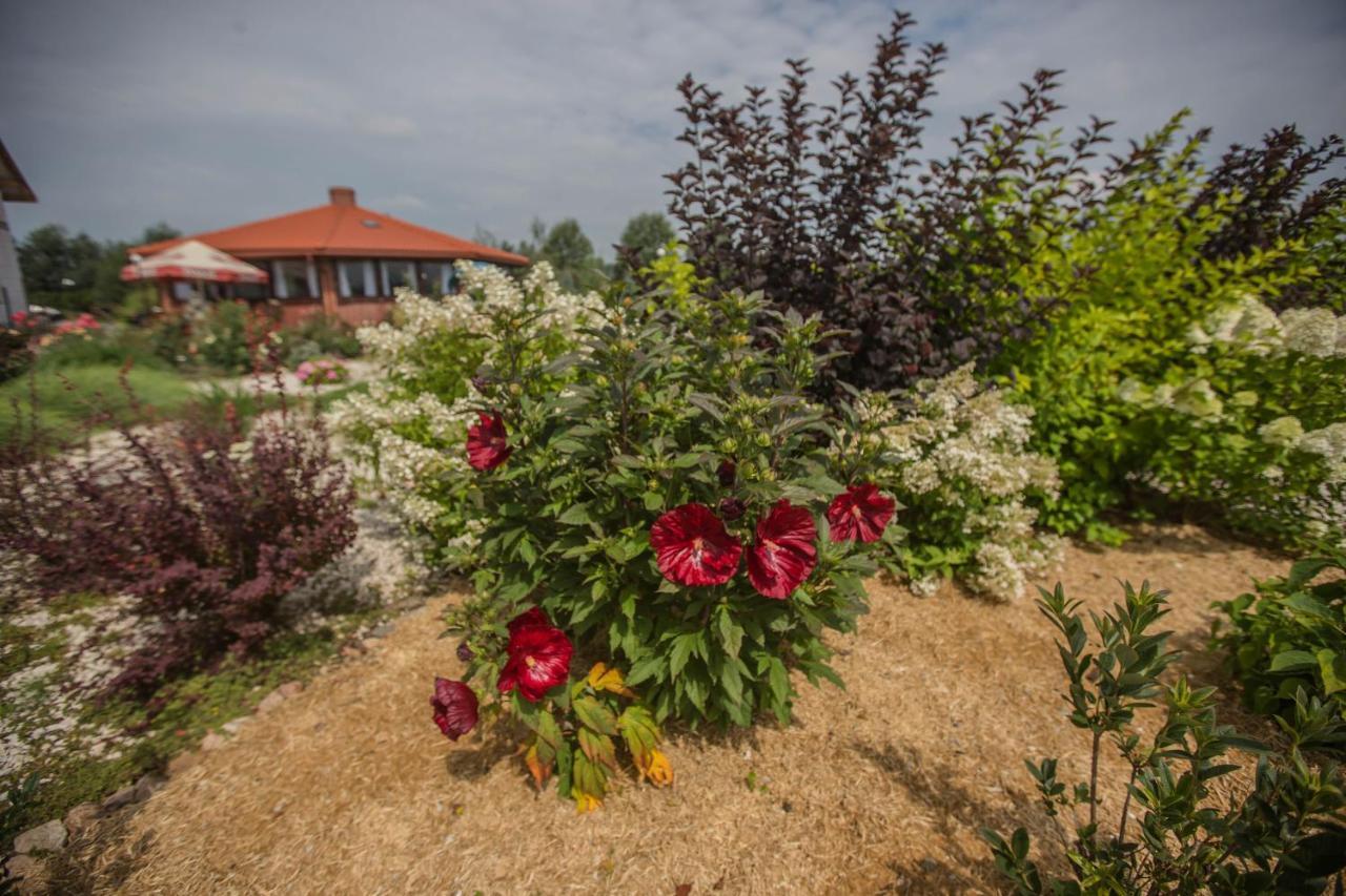 Rezydencja Pod Pieprzowkami Zalesie Gorzyckie Exteriér fotografie